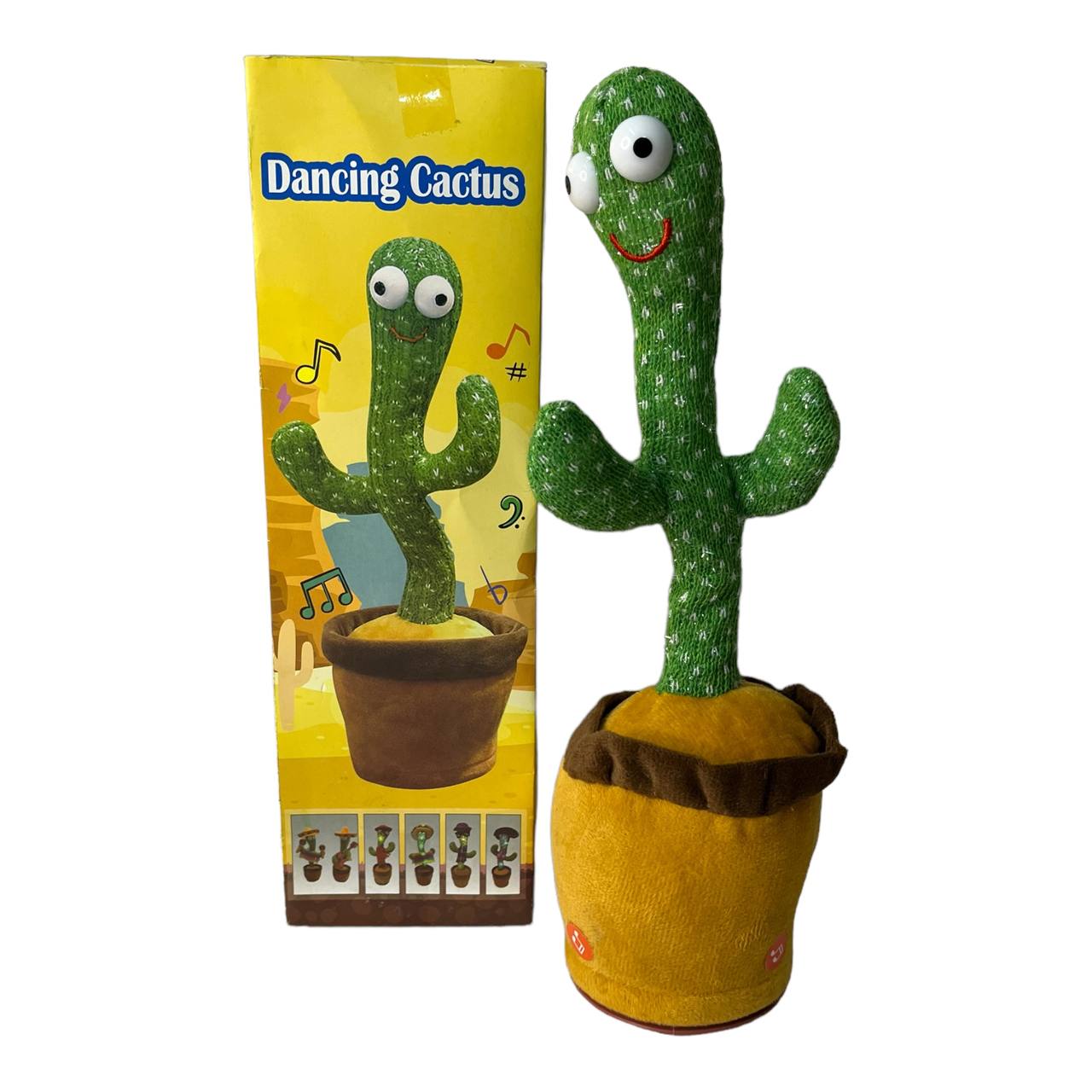 cactus toy with its cover